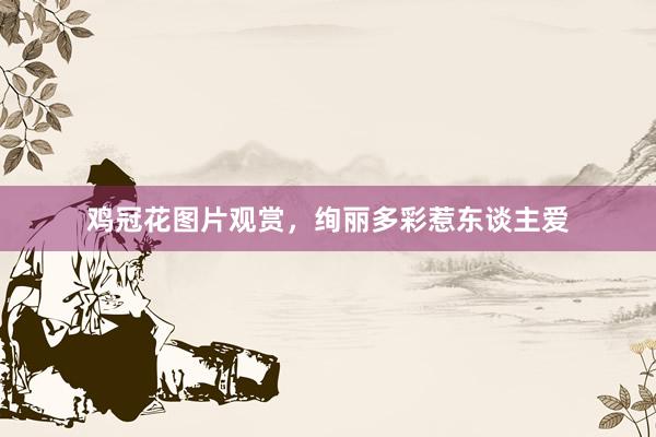 鸡冠花图片观赏，绚丽多彩惹东谈主爱